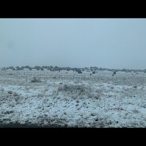 Meet your Posher, Dee